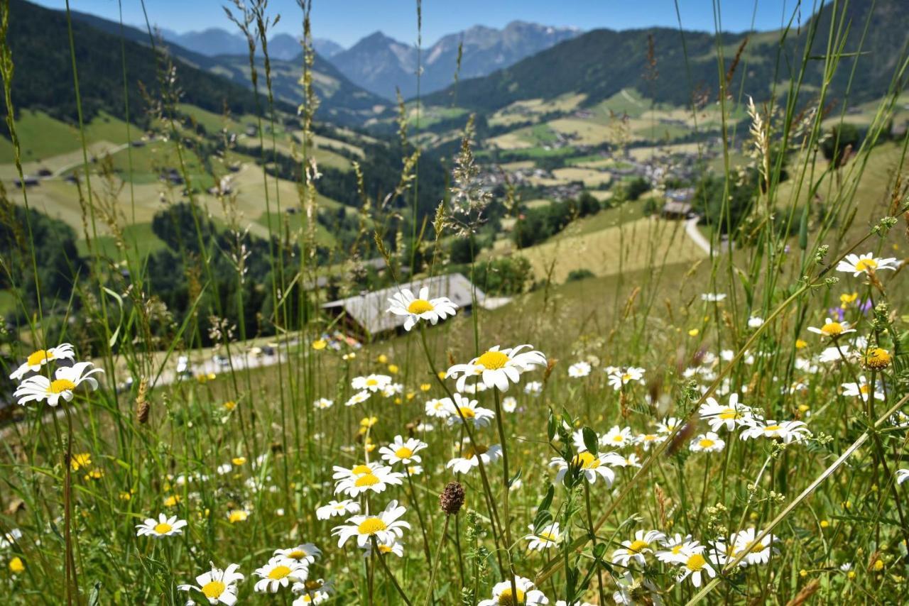 Appartement Haus Dorferstuck à Alpbach Extérieur photo